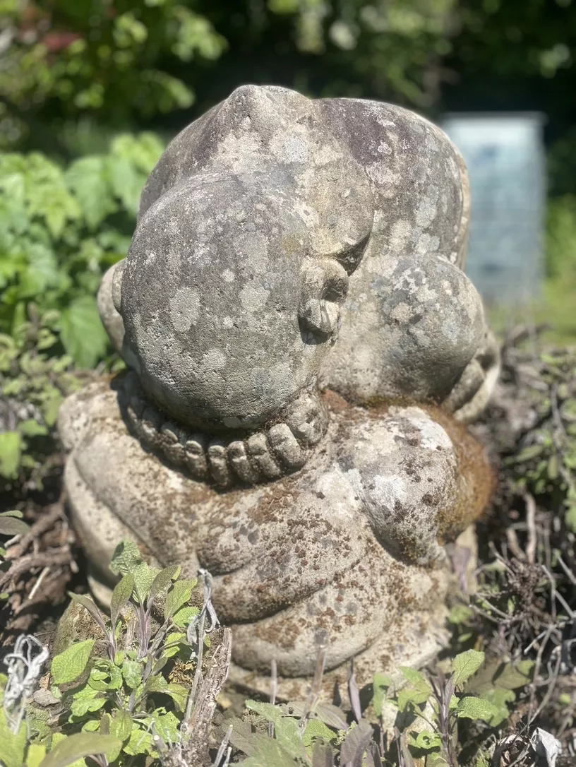 Yogi